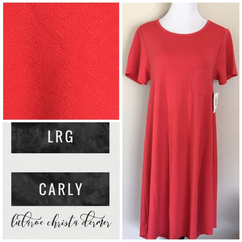 NWT Lularoe Carly Dress